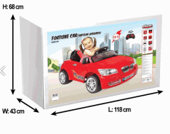fortune Çift Kişilik Akülü Araba pilsan akülü araba 05 244 model