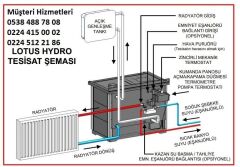 Dorello Vera sulu DK-25 Kuzineli, Şömineli Katı Yakıt Lotus Vera Toros Katı Yakıtlı Kaloriferli Soba